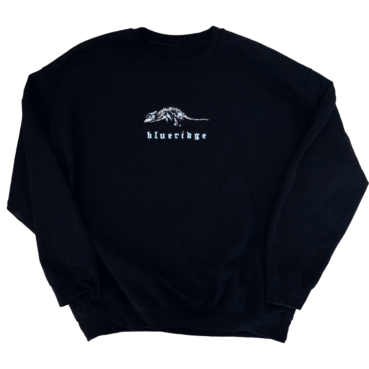 'Chameleon' Embroidered Sweatshirt